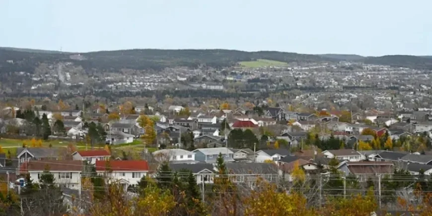 NL Population Declines in Fourth Quarter