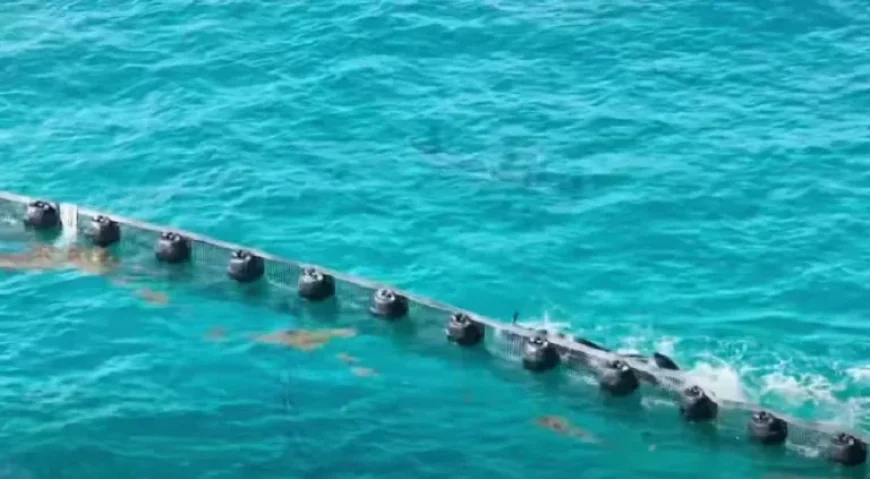 Over Half of Planned Sargassum Barriers Installed off Quintana Roo Coast