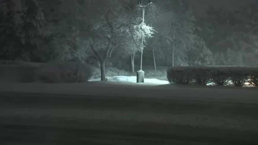 Blizzard 2026: Philadelphia, NJ, Delaware Snowfall Totals Revealed