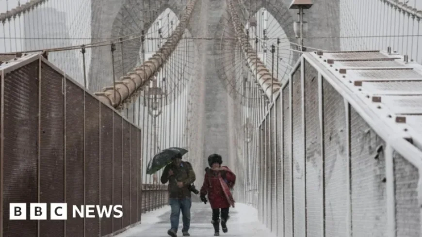 Winter Storm Hits Northeast US, NYC Enforces Travel Ban