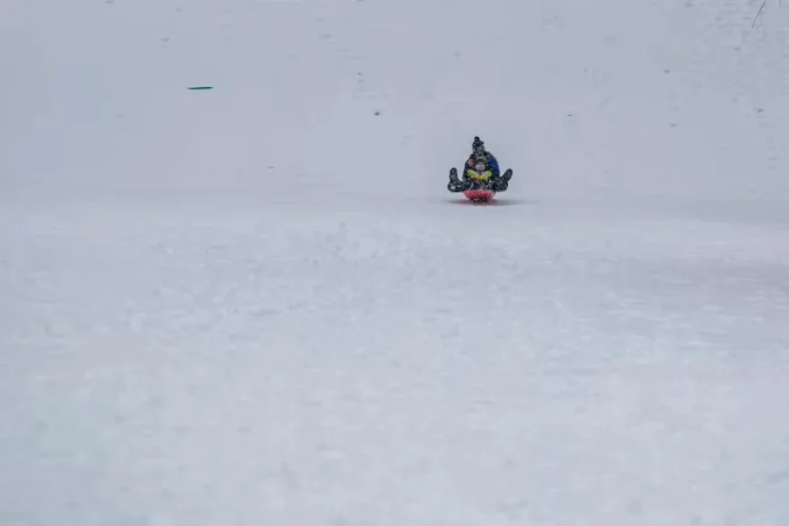 Region-wide School Closures: Philadelphia Adopts Virtual Learning Amid Blizzard