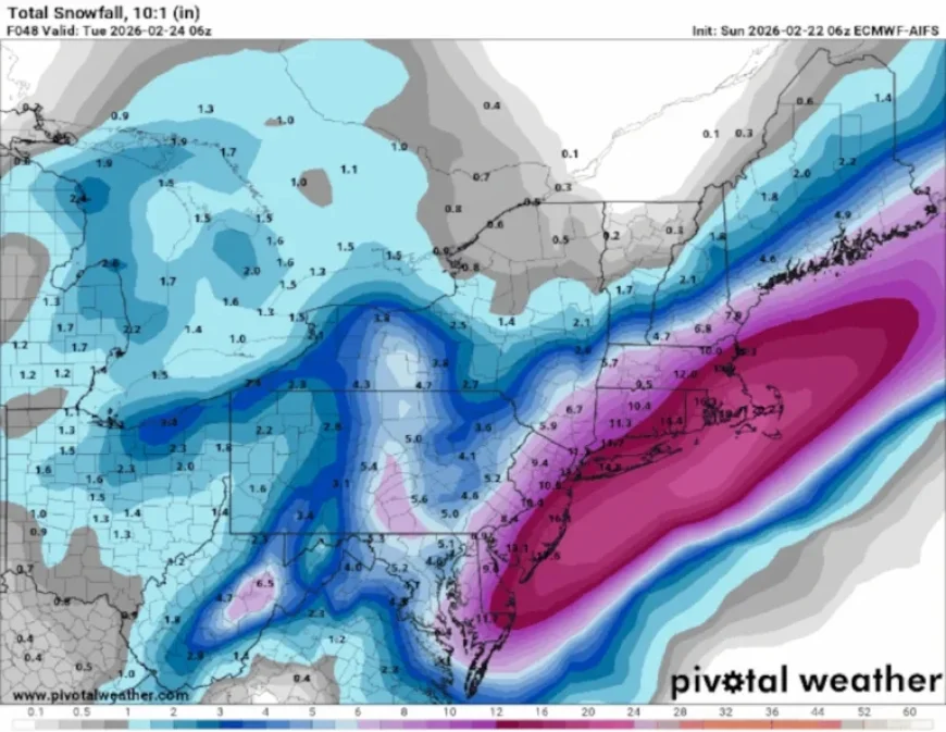 Nor’easter Progression: Key Timeline Details Revealed