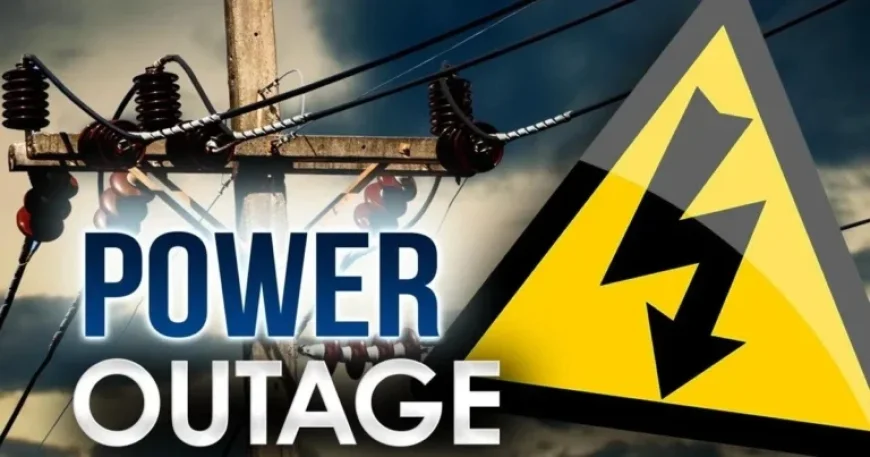 Winter Storm Leaves Tens of Thousands Without Power in Delmarva