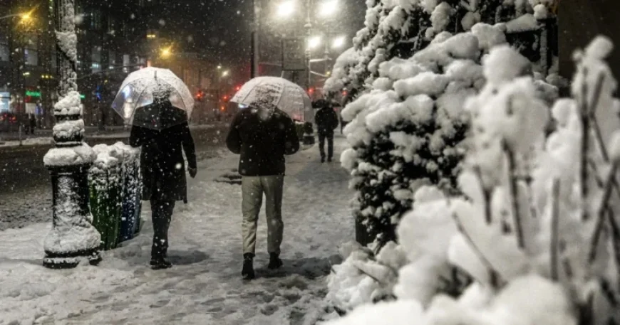 Blizzard Warnings Hit Northeast: Heavy Snow and Winds Disrupt Travel
