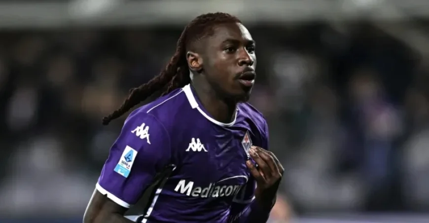 Fiorentina Hosts Pisa: Match Preview