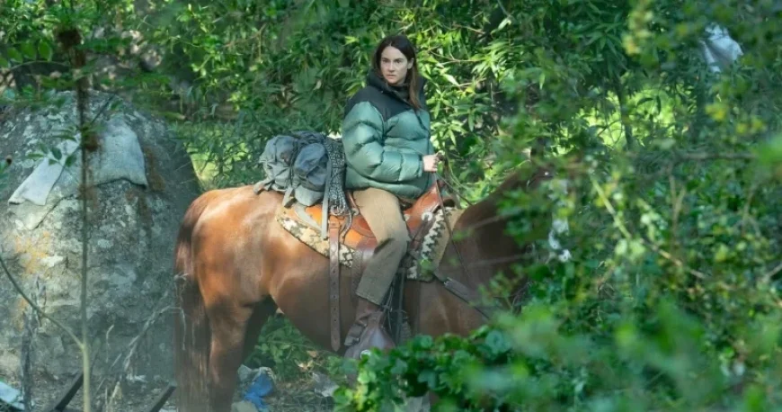 Shailene Woodley Shines in ‘Graceland’: ‘Paradise’ Episode 1 Recap