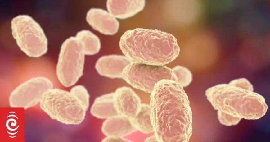 Vanuatu Health Ministry Confirms Whooping Cough is Under Control