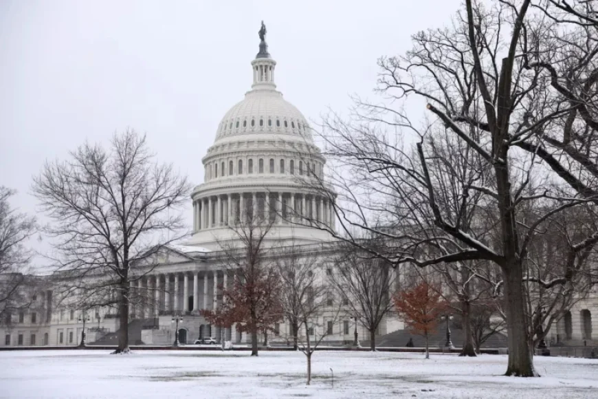D.C. Snowstorm Strikes Select Areas, Spares Others: Full Report