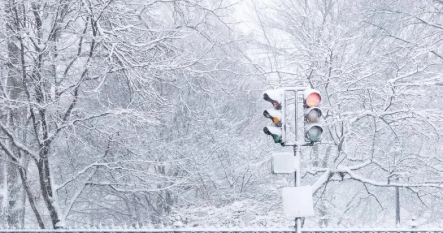 Record-Breaking ’26 Snowstorm: Boston Area Snowfall Totals Revealed