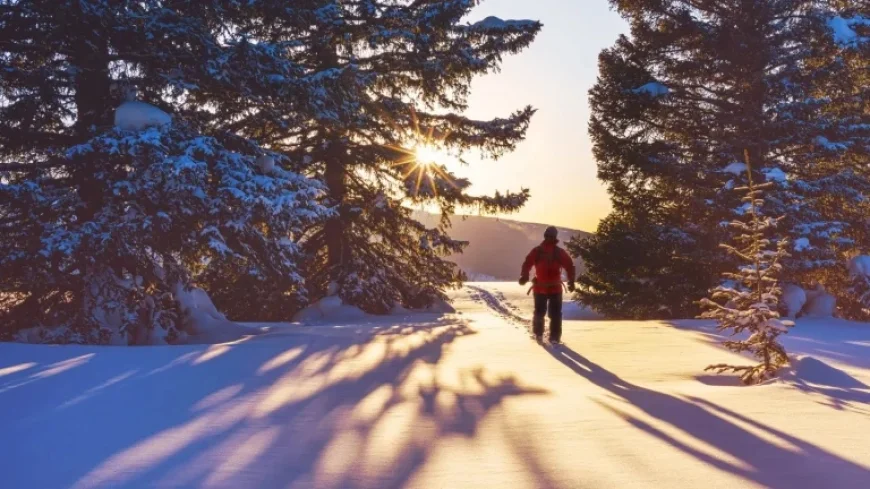 Private Equity Projections 2026: Building Momentum