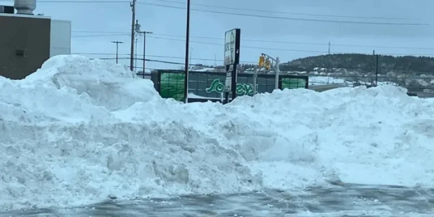 Metro Schools Closed Tuesday