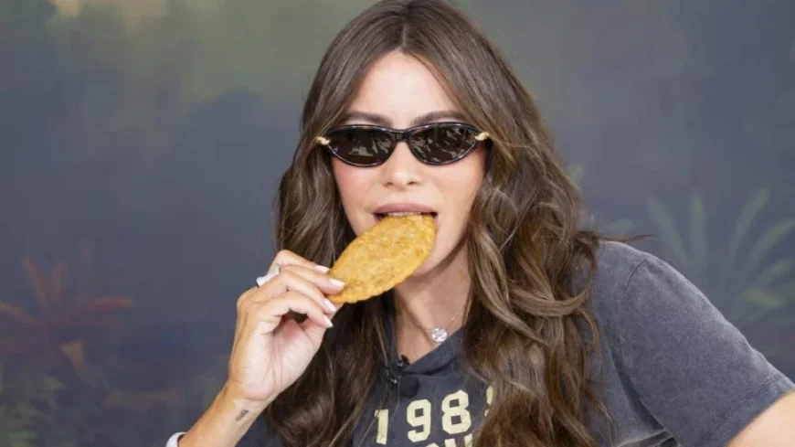 Sofia Vergara Shines in Miami Night Out with Family