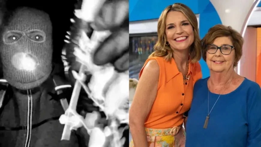 Savannah Releases Video Offering $1 Million Reward to Find Missing Mom