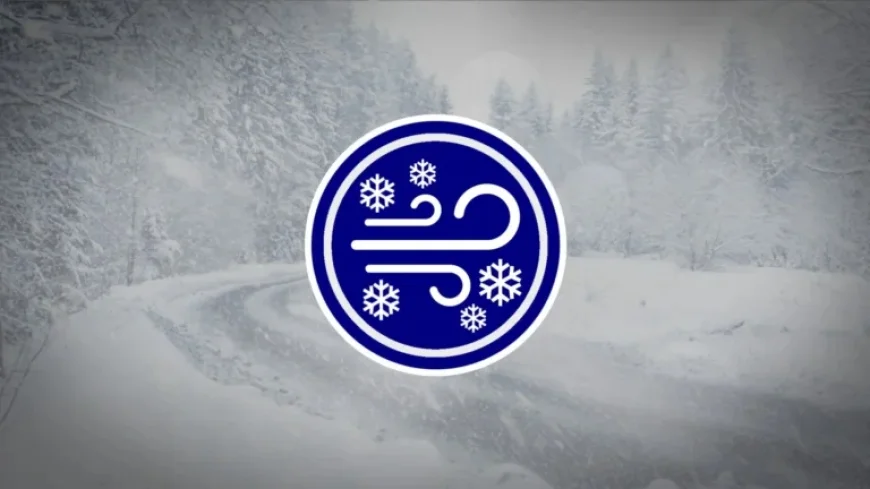 Snowfall Up to 10 cm Expected: Affected Areas Listed