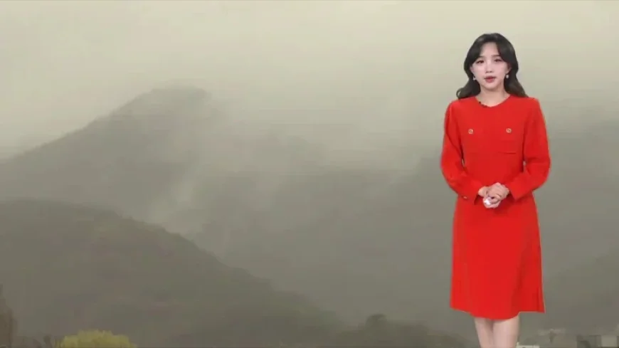 Dense Fog Advisory Issued Until Tomorrow Morning