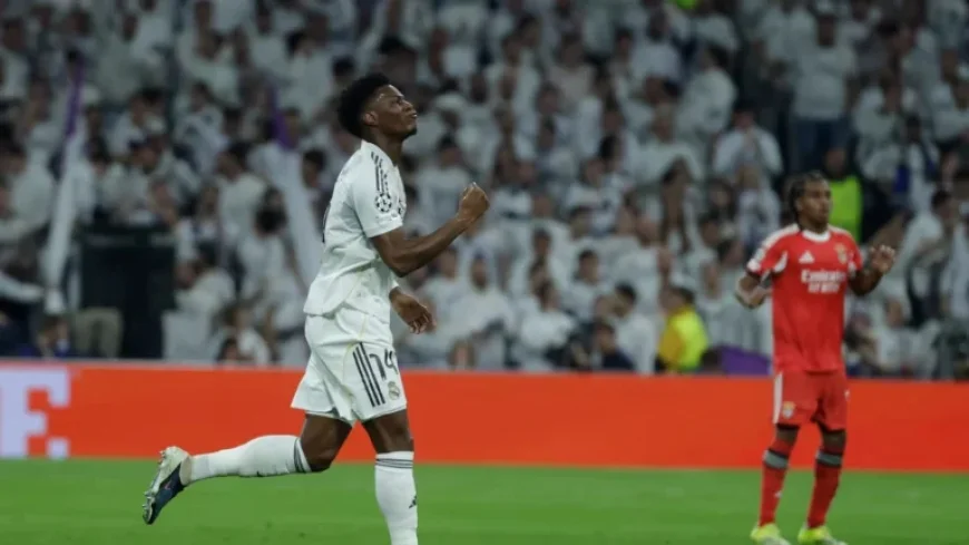 Live: Real Madrid vs. Benfica Champions League Playoff Updates