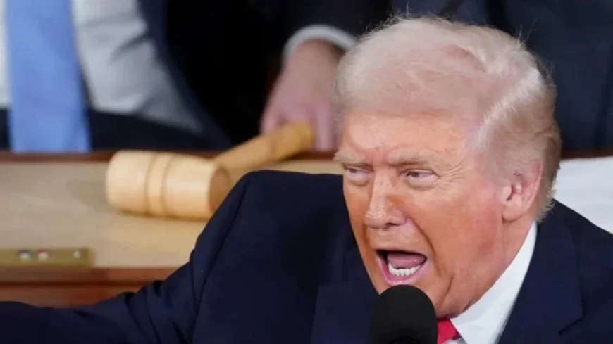 Trump Launches ‘War on Fraud’: Here’s What Followed