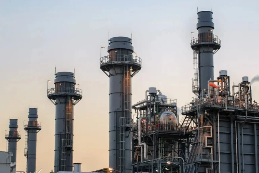 White House Urges AI Companies to Address Rate Hikes; Most Agree