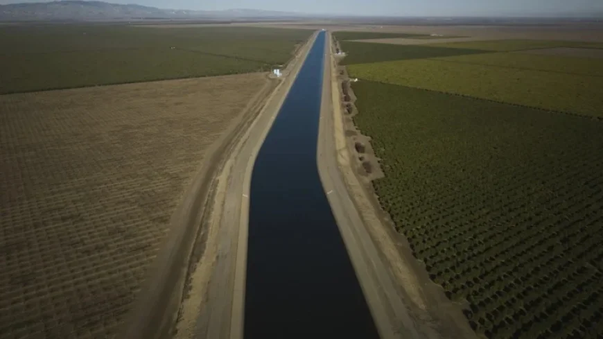 California Farmers Support Massive Solar Farm Development