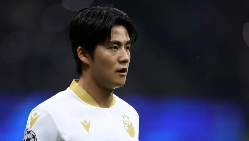 Red Star Belgrade vs Lille: Prediction, Team News, and Lineups Preview