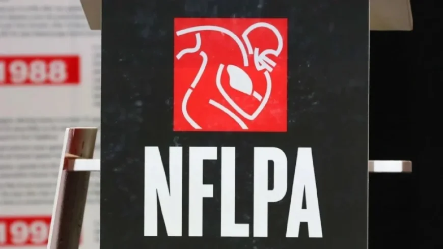 Dolphins Top, Steelers Bottom in NFLPA Rankings