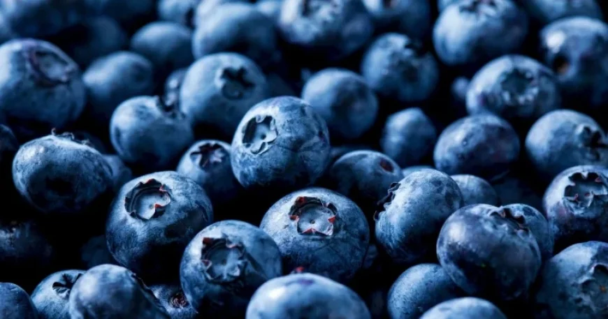 55,000 Pounds of Blueberries Recalled Due to Fatal Listeria Risk