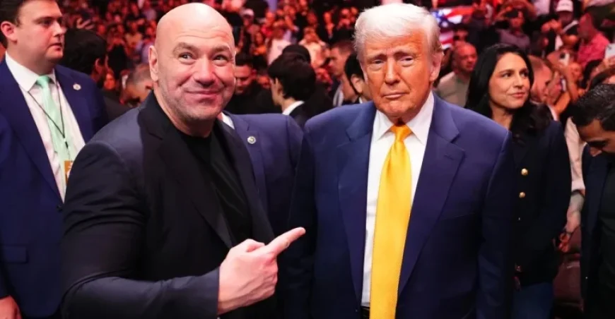 UFC Faces $30 Million Loss on White House Card: No Expected Profit