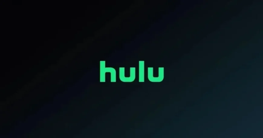 Hulu’s Hit TV Show Concludes with Season 3