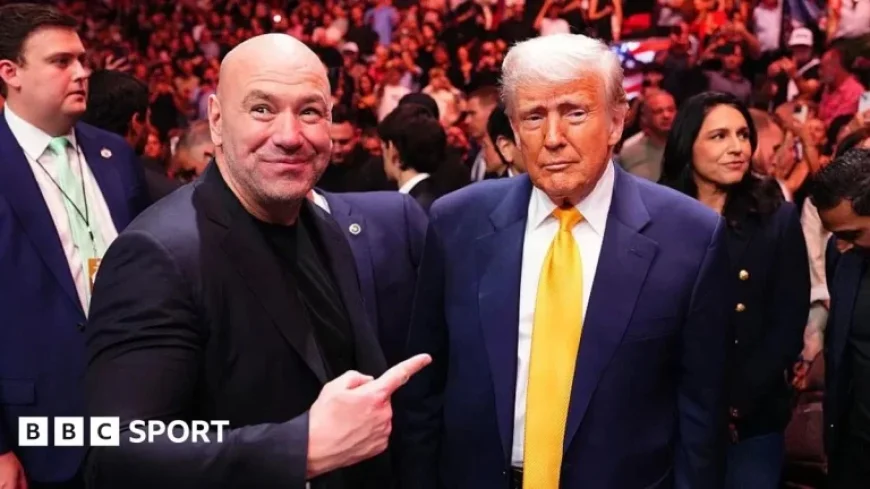UFC Invests $60 Million in White House Event Promotion