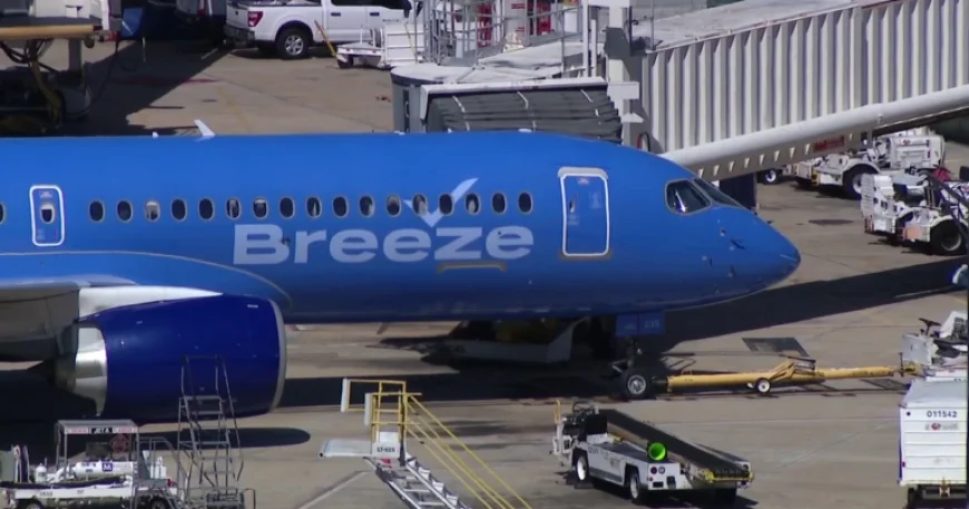 Budget Airlines Unveil New Deals for Tampa Bay Travelers