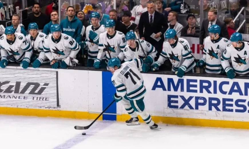 5 Keys for Sharks’ Successful Playoff Run