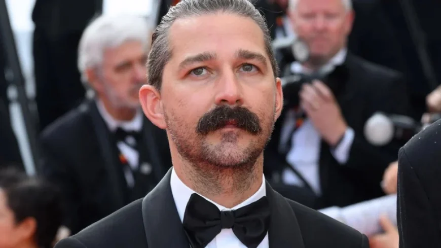 Shia LaBeouf Sent to Rehab After New Orleans Arrest