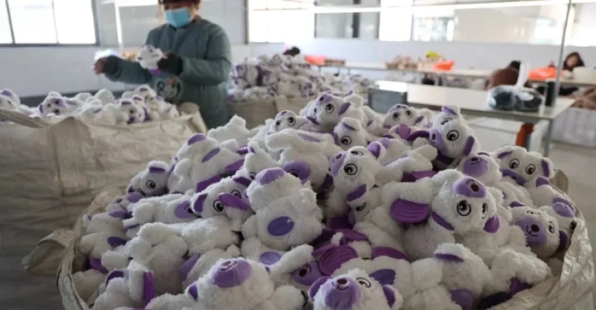 Supreme Court Overturns Tariffs: Meet the Toymaker Who Sued Trump