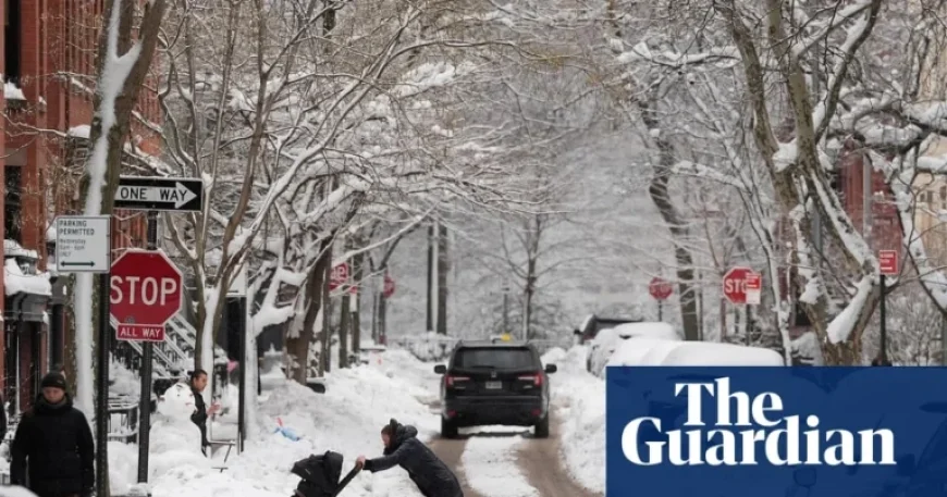 Heavy Snowfall Shuts Schools and Cancels Flights Across US Cities