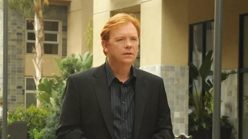 CSI Star David Caruso Appears Unrecognizable in Rare Los Angeles Sighting