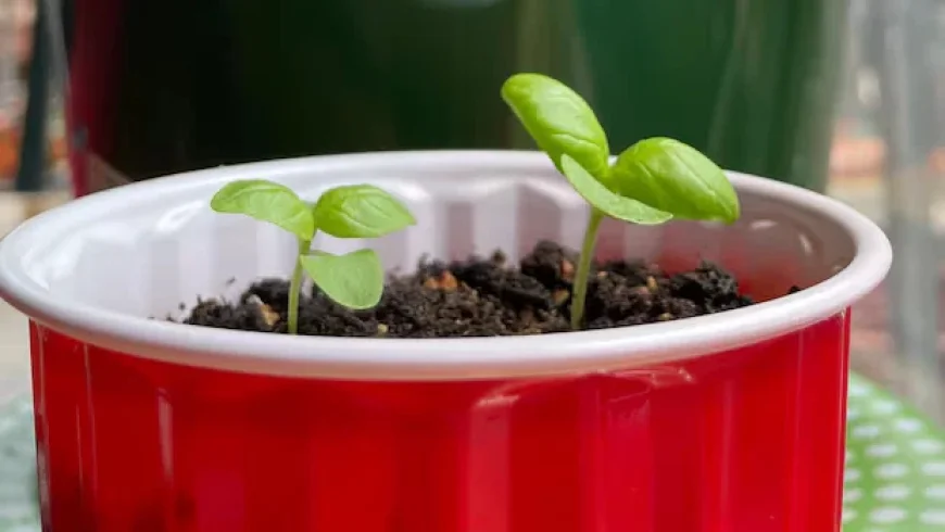 Top 5 Fun Activities in Waterloo Region: Feb. 27 to March 1