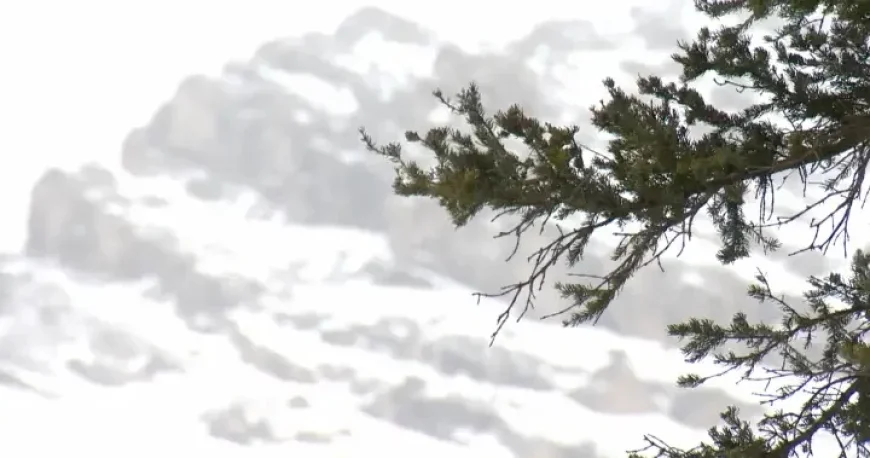 Avalanche Traps 2 Skiers Near Calgary; 1 Found Unresponsive