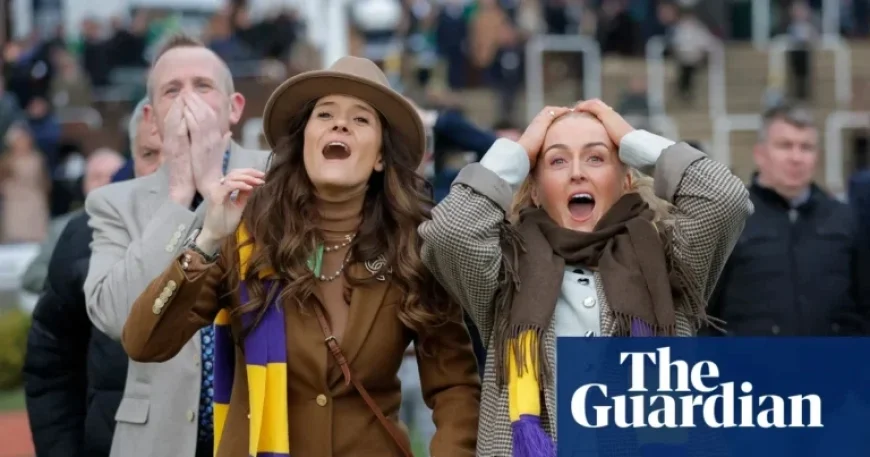 Cheltenham Optimistic for Ticket Sales Recovery After Three-Year Decline