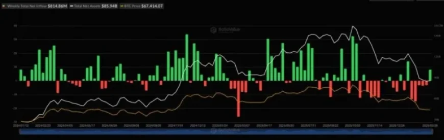 U.S. Spot BTC ETFs Attract $1.1 Billion in Three Days, Biggest Week Since January