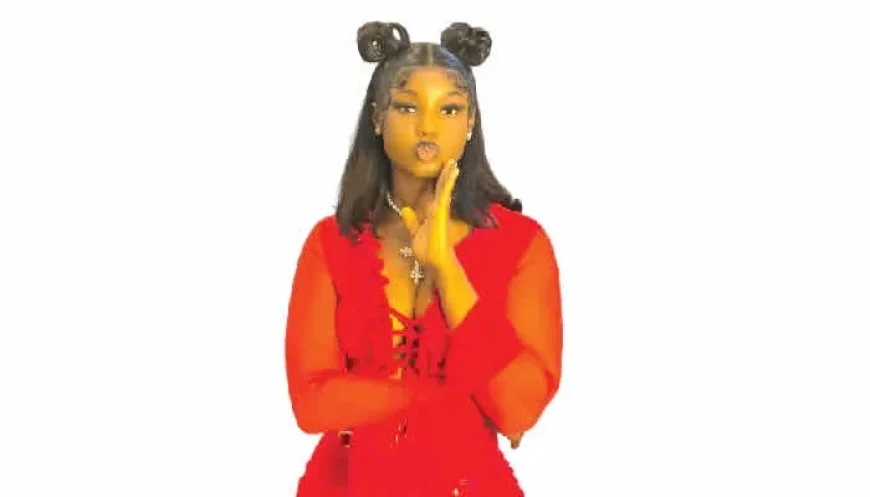 VeryDarkman and King Mitchy Entangle Seyi Tinubu in Public Feud