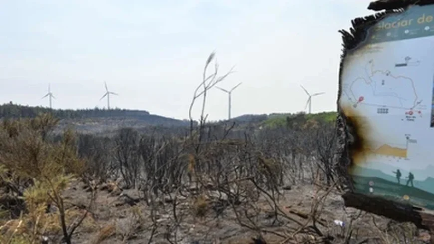 PJ Probes Alleged Fraud in Madeira’s European Fund Acquisition