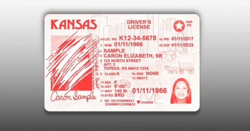 Chaos Erupts as Red State Lawmakers Revoke Driver’s Licenses, Birth Certificates