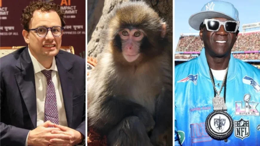 Evaluate Your Quiz Score: Forget the State of the Union