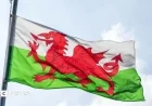 Regional Celebrations Mark St David’s Day