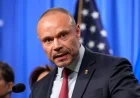 Dan Bongino Clashes with Tucker Carlson’s Brother: ‘You Trust-Fund-Baby Horror!’