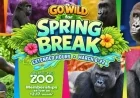 San Antonio Zoo Highlights Spring Break with Congo Falls, Pollinators Exhibits