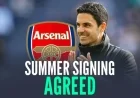 Arteta Approves Arsenal’s £45m Summer Signing Deal