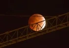 Witness the Total Lunar Eclipse on March 3: Viewing Guide