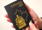 Canadian Passport Fees Set to Increase Soon