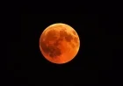 Total Lunar Eclipse to Illuminate Quebec Sky in Red on Tuesday Night